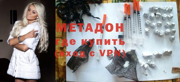 сатива Инта
