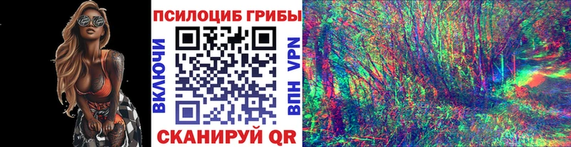 Купить Валдай Псилоцибиновые грибы MAGIC MUSHROOMS